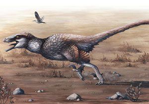 Dakotaraptor: Scientists unearth giant winged raptor!