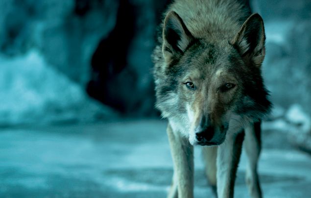 Alpha Movie