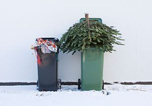 Which Christmas items can I recycle?