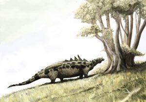 Fossil hunting: a quick guide