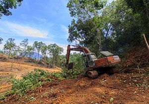 Let’s make a change: habitat destruction!